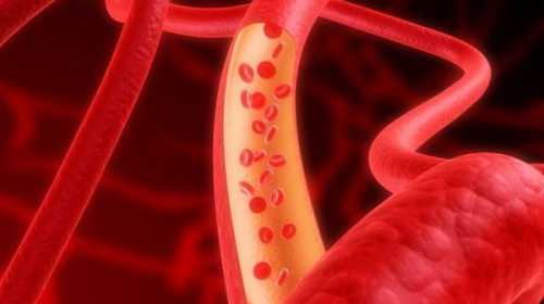 Здоровье кровеносных сосудов защищают гены