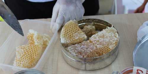 Как хранить мед в сотах