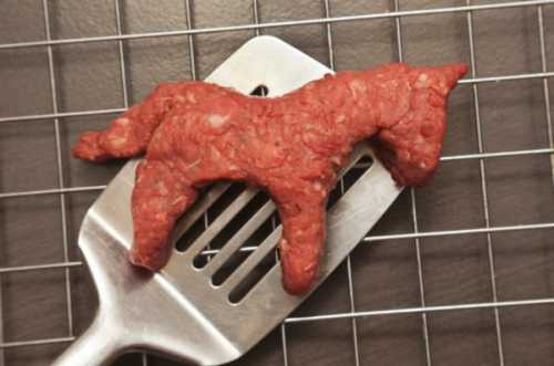 Полезные свойства конины, возможный вред мяса