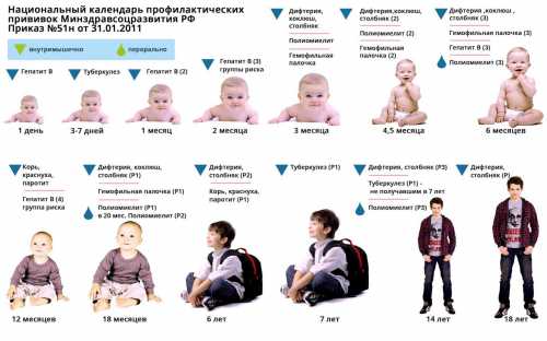 Утвержденный календарь прививок детям до года